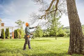 Best Tree Health Inspection  in Twin Rivers, NJ