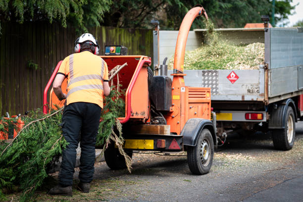 Best Utility Line Clearance  in Twin Rivers, NJ